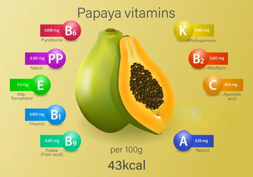 image about لماذا تُعرف البابايا بـ 