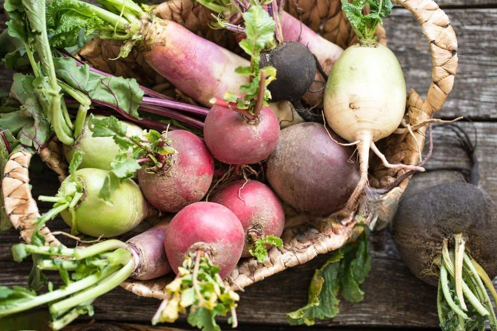 image about ما هي فوائد اللفت (What are the benefits of turnip) ؟