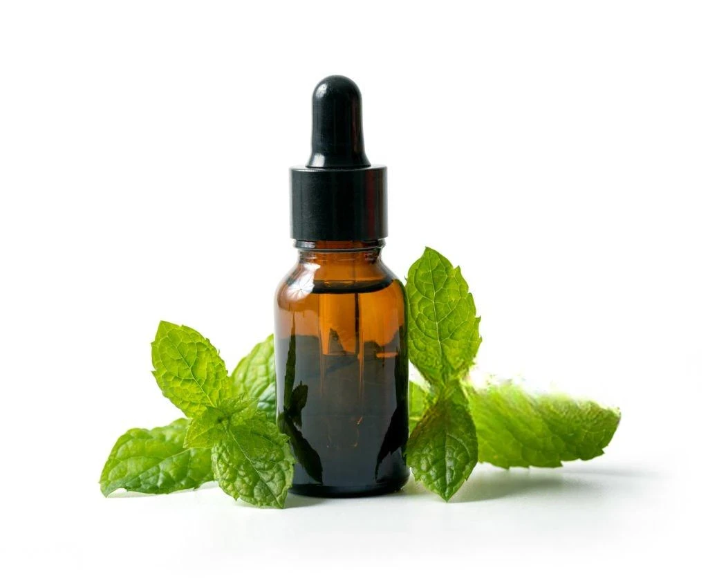 image about أسرار النعناع: الكيمياء النباتية، الفوائد الصحية، ودوره الاقتصادي في العالم