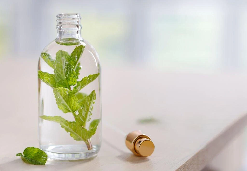 image about أسرار النعناع: الكيمياء النباتية، الفوائد الصحية، ودوره الاقتصادي في العالم