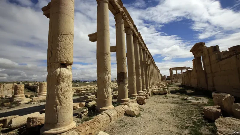 image about مدينة تدمر السورية