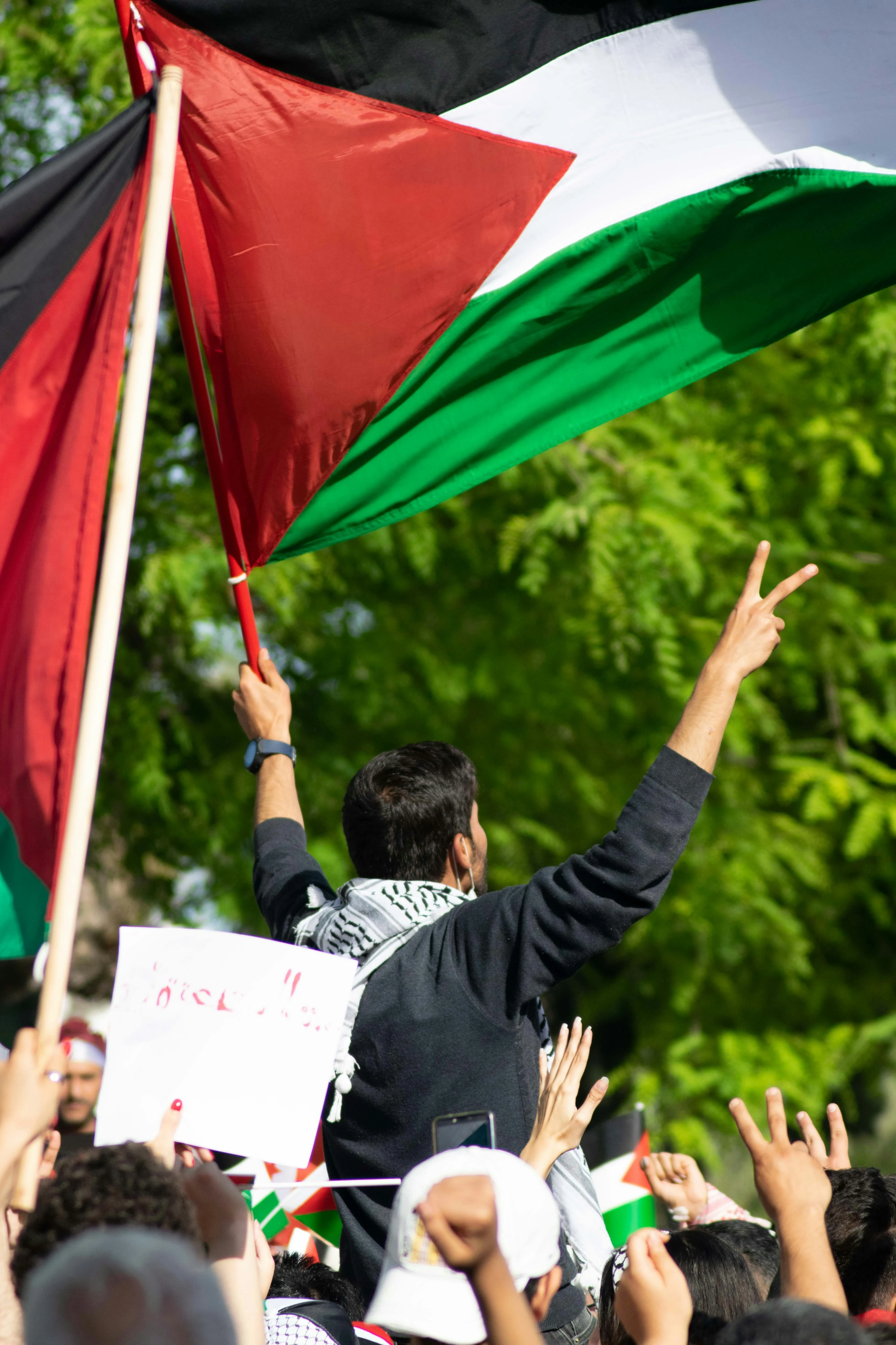 image about قصة فلسطين من 1900 حتى 2025: أكثر من قرن من الاحتلال والمقاومة والتاريخ المنسي