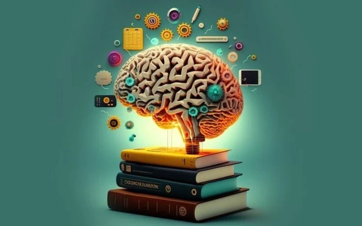 image about بعد الشهادة الإعدادية… مستقبل مختلف في مدارس STEM  تعليم علمي راقٍ للمتفوقين يفتح أبواب الجامعات المميزة