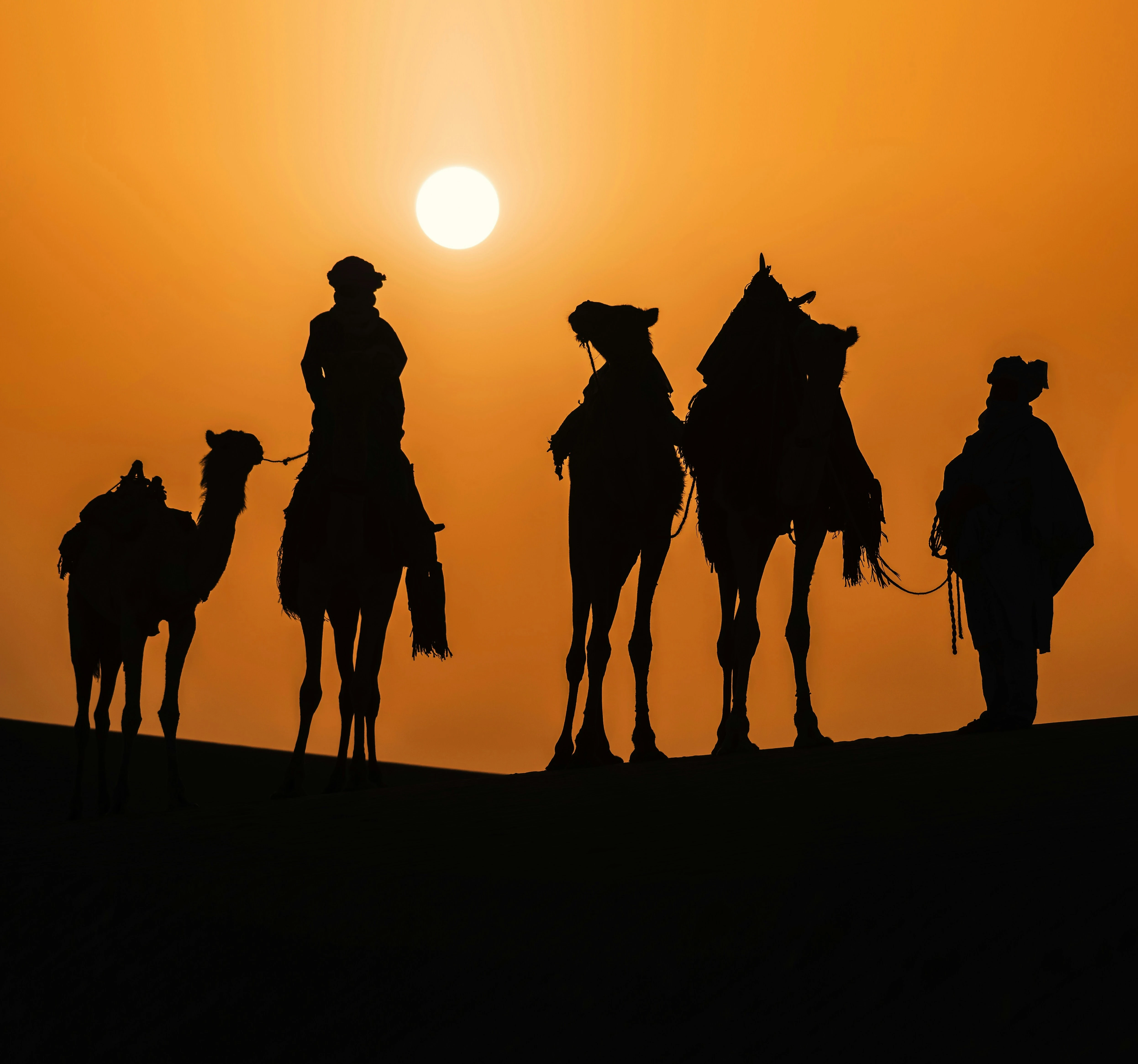 image about ابن بطوطة: كان رجلا عفا رقيق الشعور، تقياً، على جانب طيب من العلم بالفقه والشريعة