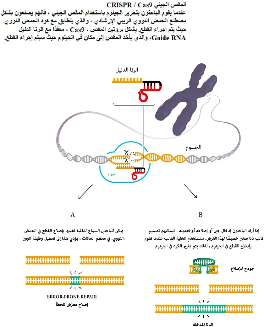 image about مقص الجينات الذي سيغير البشرية: قصة تقنية كريسبر