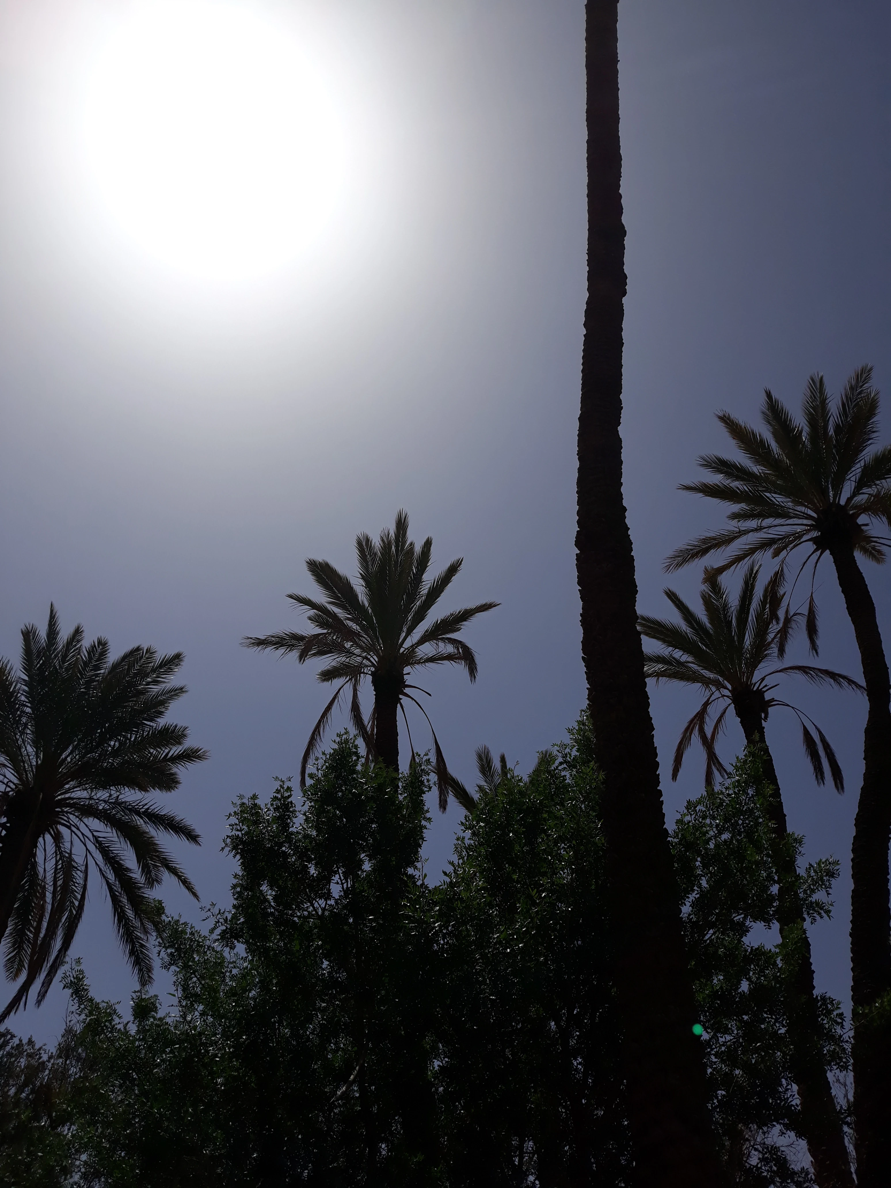 image about المغرب: رحلة عبر الزمن والطبيعة