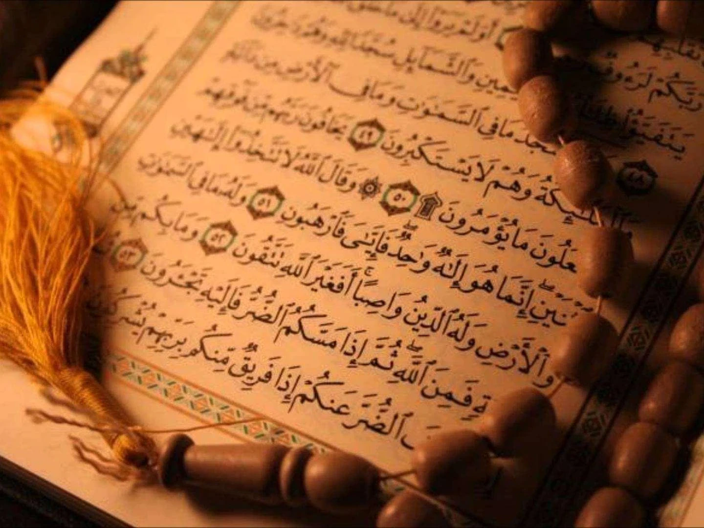 image about قصة نبي الله سليمان في الإسلام: الحكمة والمُلك والعِبر