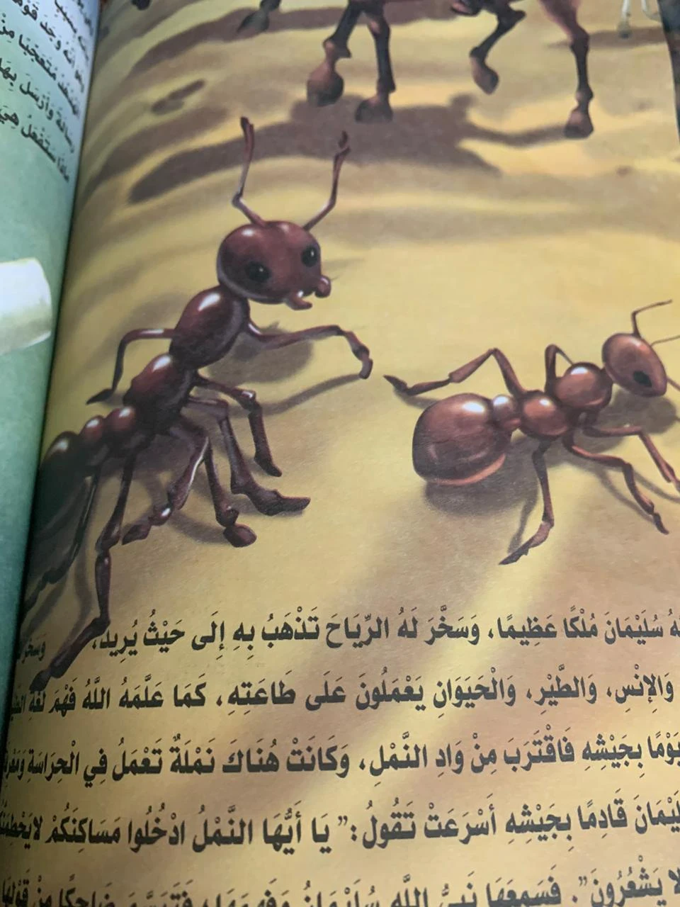 image about قصة نبي الله سليمان في الإسلام: الحكمة والمُلك والعِبر