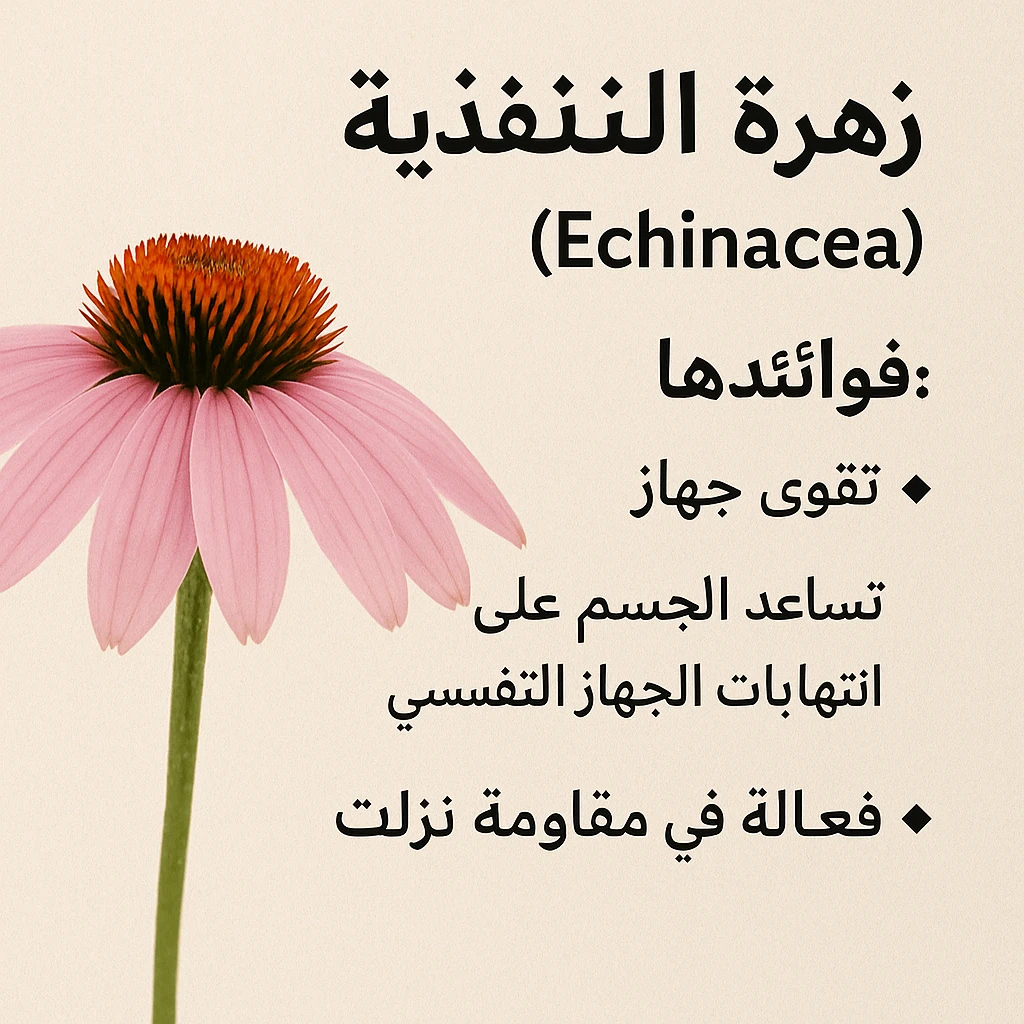 image about 🌿 أهم الأعشاب المفيدة لصحة الرئة
