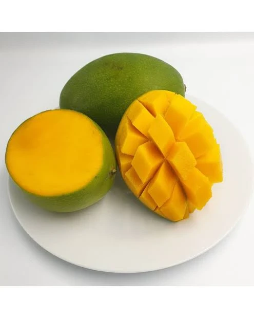 image about المانجو وإرتباطها بالصحة العامة