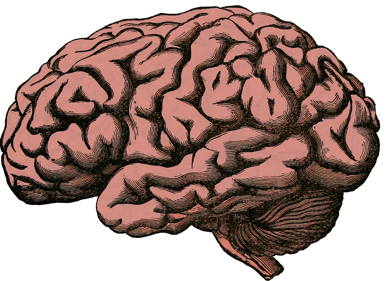 image about الصحة النفسية: الأساس الخفي لحياة متوازنة وناجحة