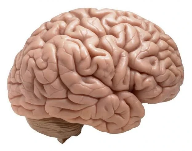 image about وفي الأرض آيات للموقنين وفي أنفسكم أفلا تبصرون ؟!
