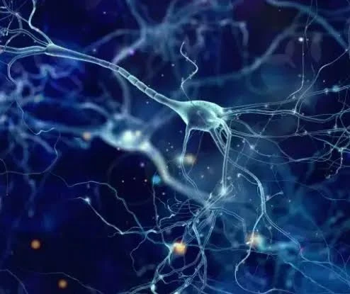 image about وفي الأرض آيات للموقنين وفي أنفسكم أفلا تبصرون ؟!