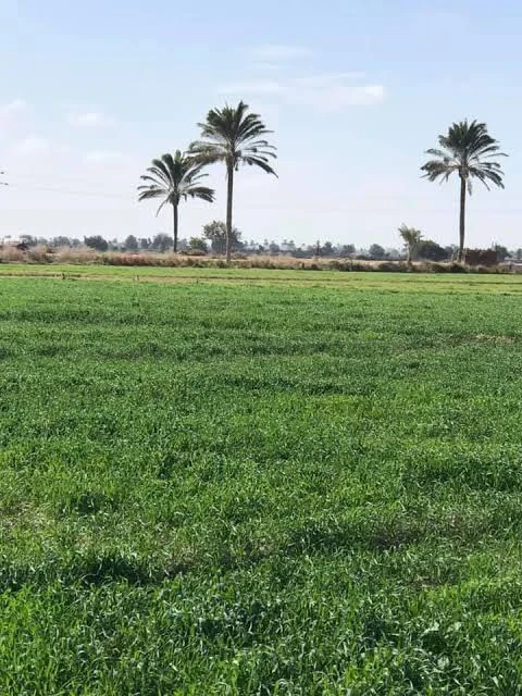 image about وفي الأرض آيات للموقنين وفي أنفسكم أفلا تبصرون ؟!