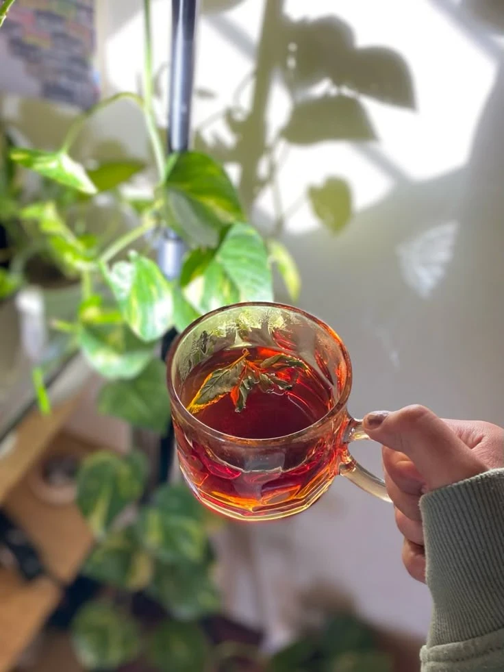 image about الصحة النفسية وسط الضغوط اليومية: كيف تحافظين على هدوئك وسلامك الداخلي