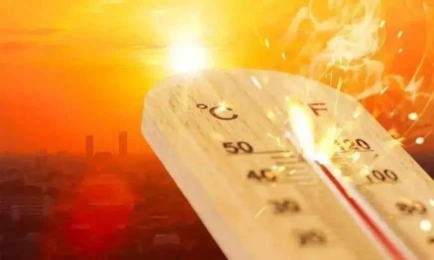 image about الوقاية من ضربات الشمس الحارقة في فصل الصيف