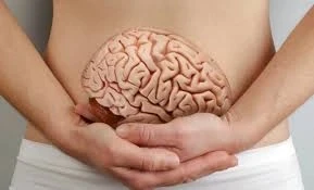 image about كيف تتحكم القناة الهضمية في مزاجك وجوعك وحتى إجهادك ؟