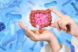 image about The Microbiome Revolution: How Gut Bacteria Shape Human Health