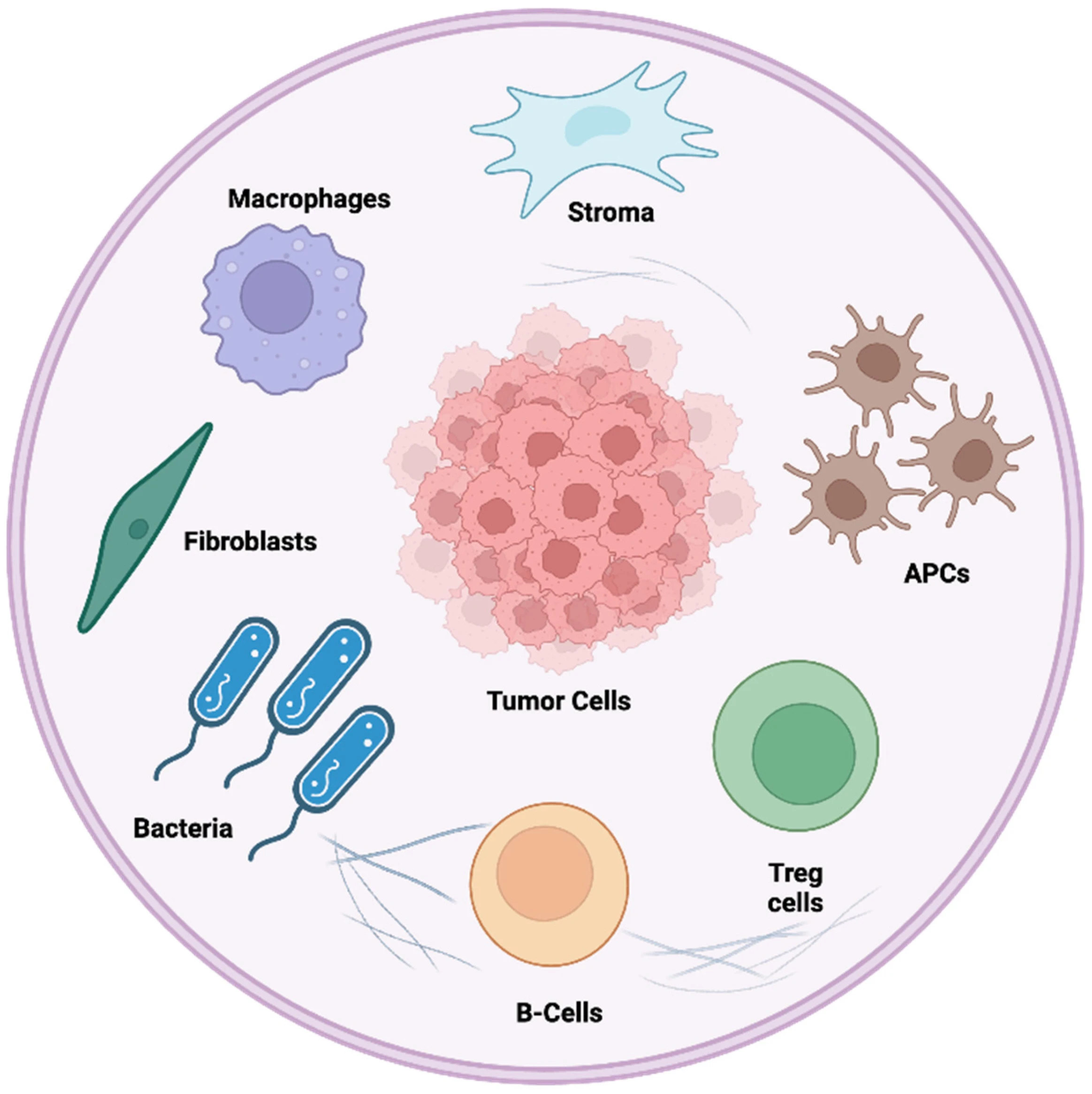 image about The Microbiome Revolution: How Gut Bacteria Shape Human Health