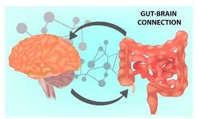 image about The Microbiome Revolution: How Gut Bacteria Shape Human Health