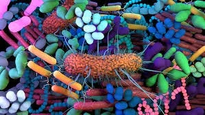 image about The Microbiome Revolution: How Gut Bacteria Shape Human Health