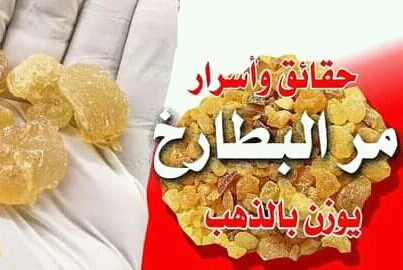 image about عشبه مر البطارخ
