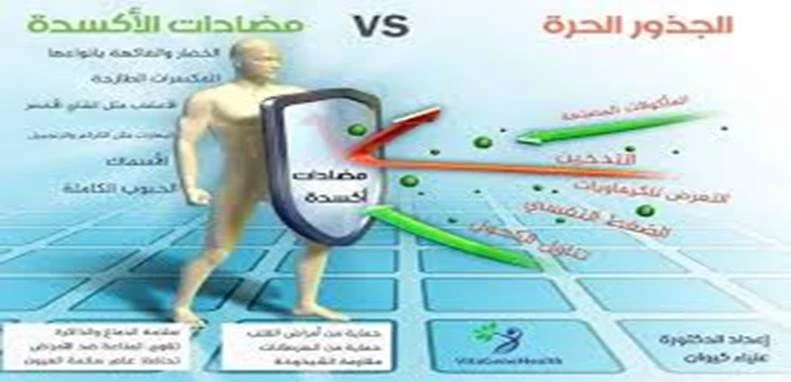 image about مضادات الأكسدة وأهميتها للصحة العامة (جزء 1)