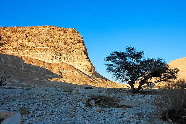 image about سر حجر النقب: بين الأسطورة والاكتشاف العلمي