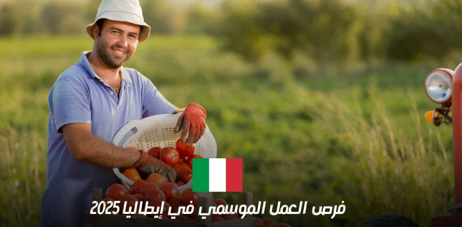 image about وزارة العمل تفتح باب التقديم لـ 20 فرصة عمل بعقود رسمية في إيطاليا.. تخصصات فنية وإنشائية مطلوبة