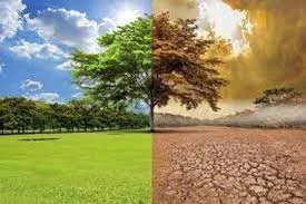 image about التغيرات المناخية وآثارها على الإنسان والحيوان