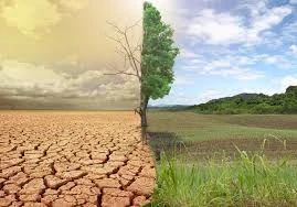 image about التغيرات المناخية وآثارها على الإنسان والحيوان