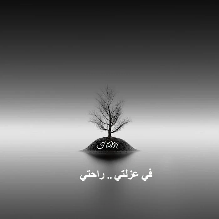 image about في عزلتي: رحلة لاكتشاف الأصوات التي بداخلي