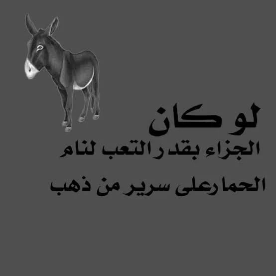 image about إذا كان النجاح بالتعب والاجتهاد، لكان الحمار جالسًا على تل من ذهب