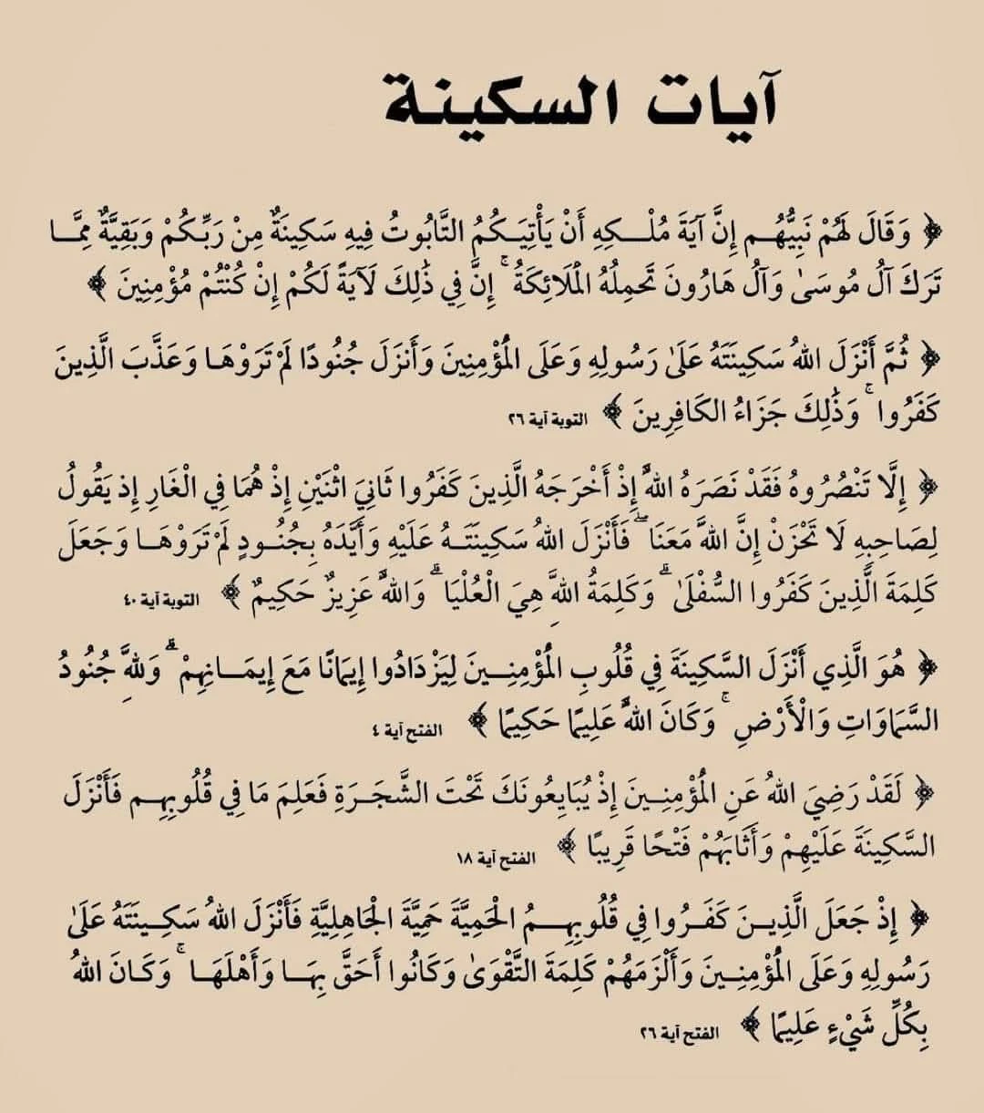 image about الهدوء في العاصفة:كيف تصنع سكينة قلبك في زمن الضجيج؟