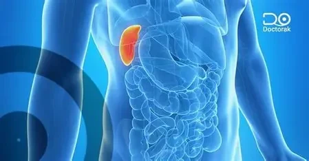 image about 10 أعراض لسرطان الكبد و10 طرق للحد منه