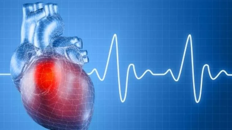 image about بين الخوف والنشوة… هكذا يعيش الإنسان لحظة السقوط