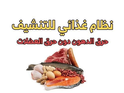 image about الدليل الشامل لنظام التنشيف: كيف تحرق الدهون وتحافظ على الكتلة العضلية؟