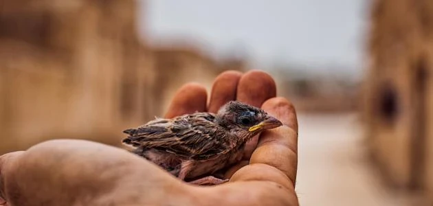 image about لماذا يغفر الله بلا حدود بينما نعجز نحن عن الغفران؟