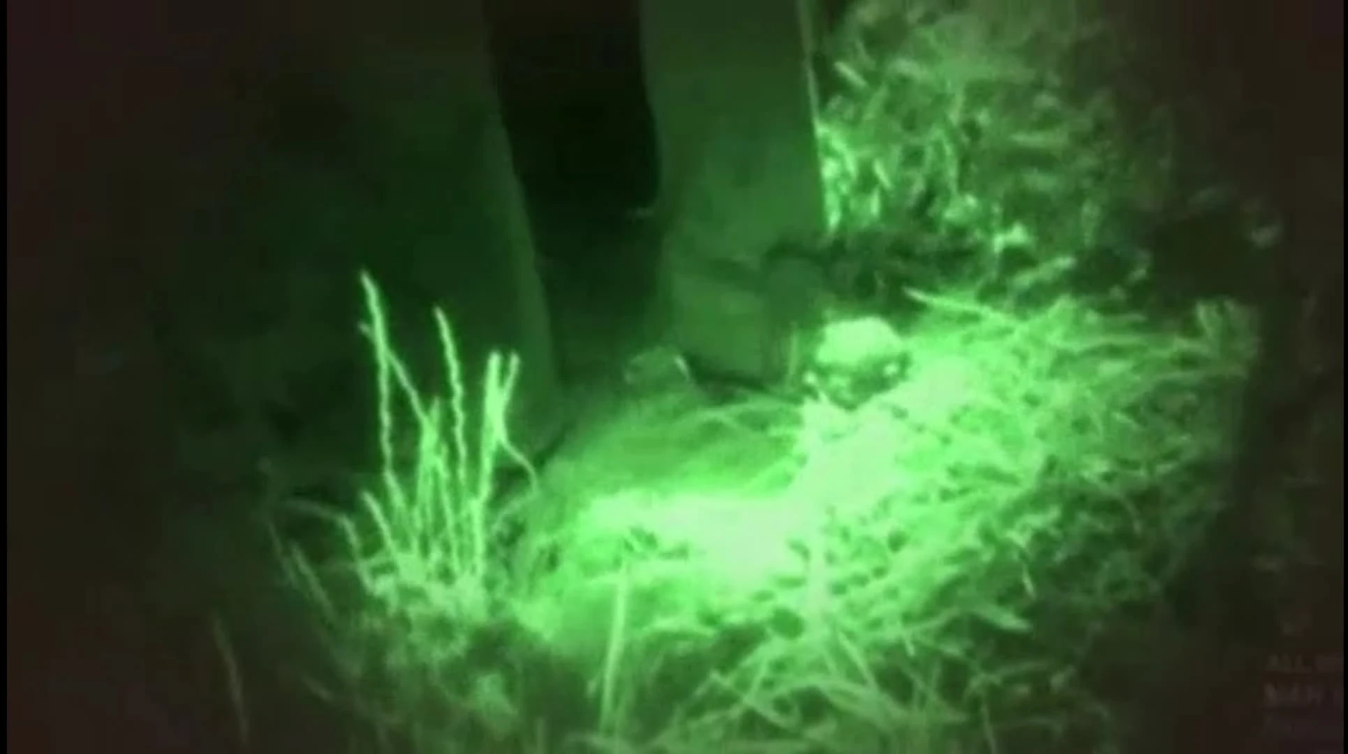 image about أسطورة السلعوة بين الحقيقة والخيال: كيف تناولها برنامج Destination Truth الأمريكي؟