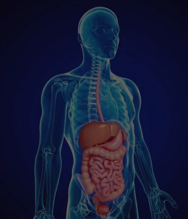 image about تناول الفاكهه علي معده خاليه