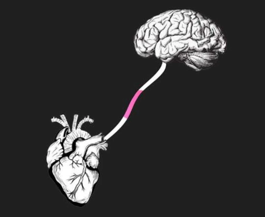 image about كيف تكبر الأعضاء التناسلية: حقائق ونصائح هامة