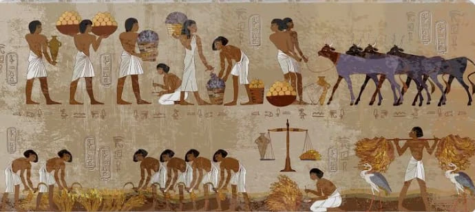 image about ازاي كانت حياة المصري القديم؟