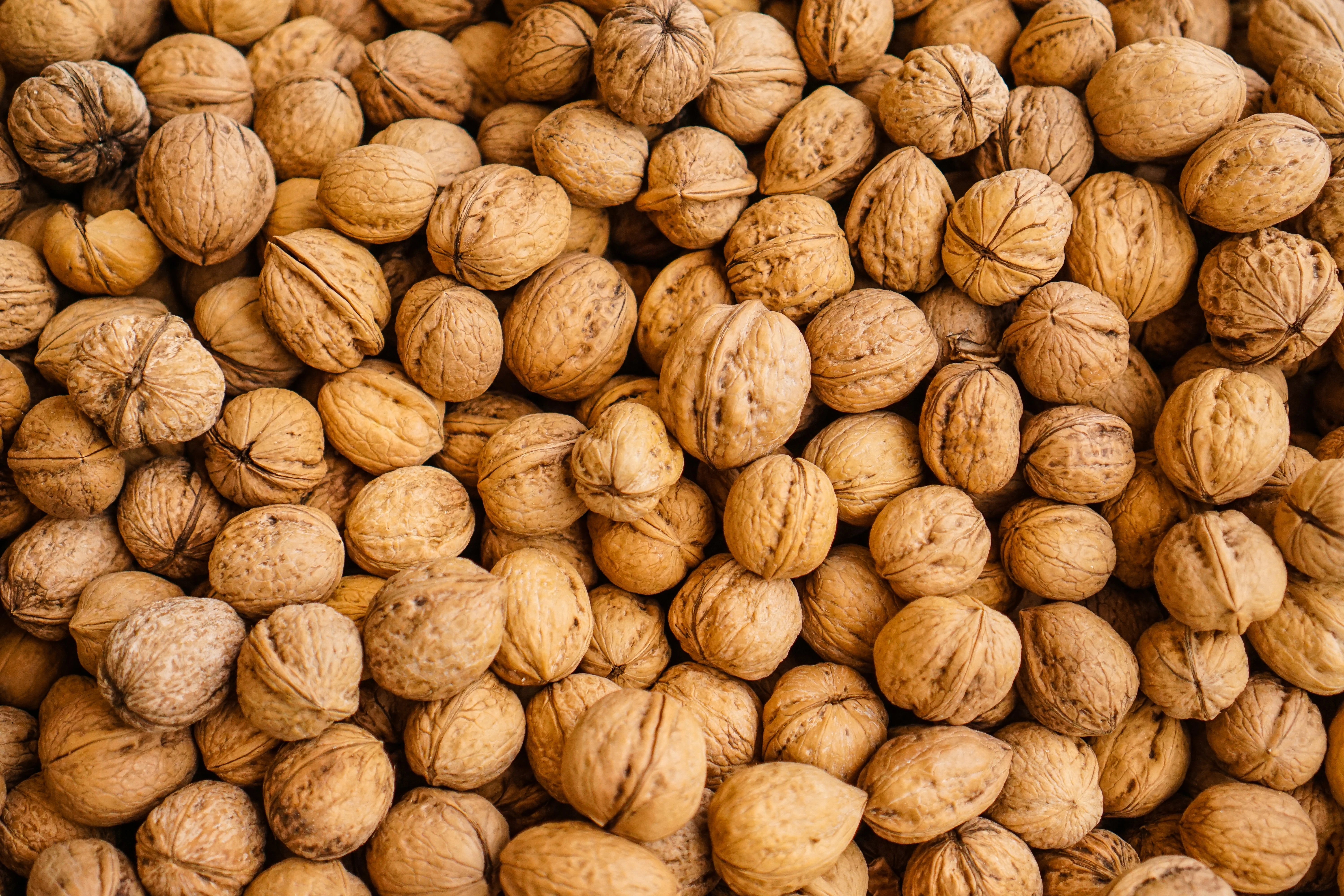 image about الغذاء والتغذية: أساس الصحة وجودة الحياة