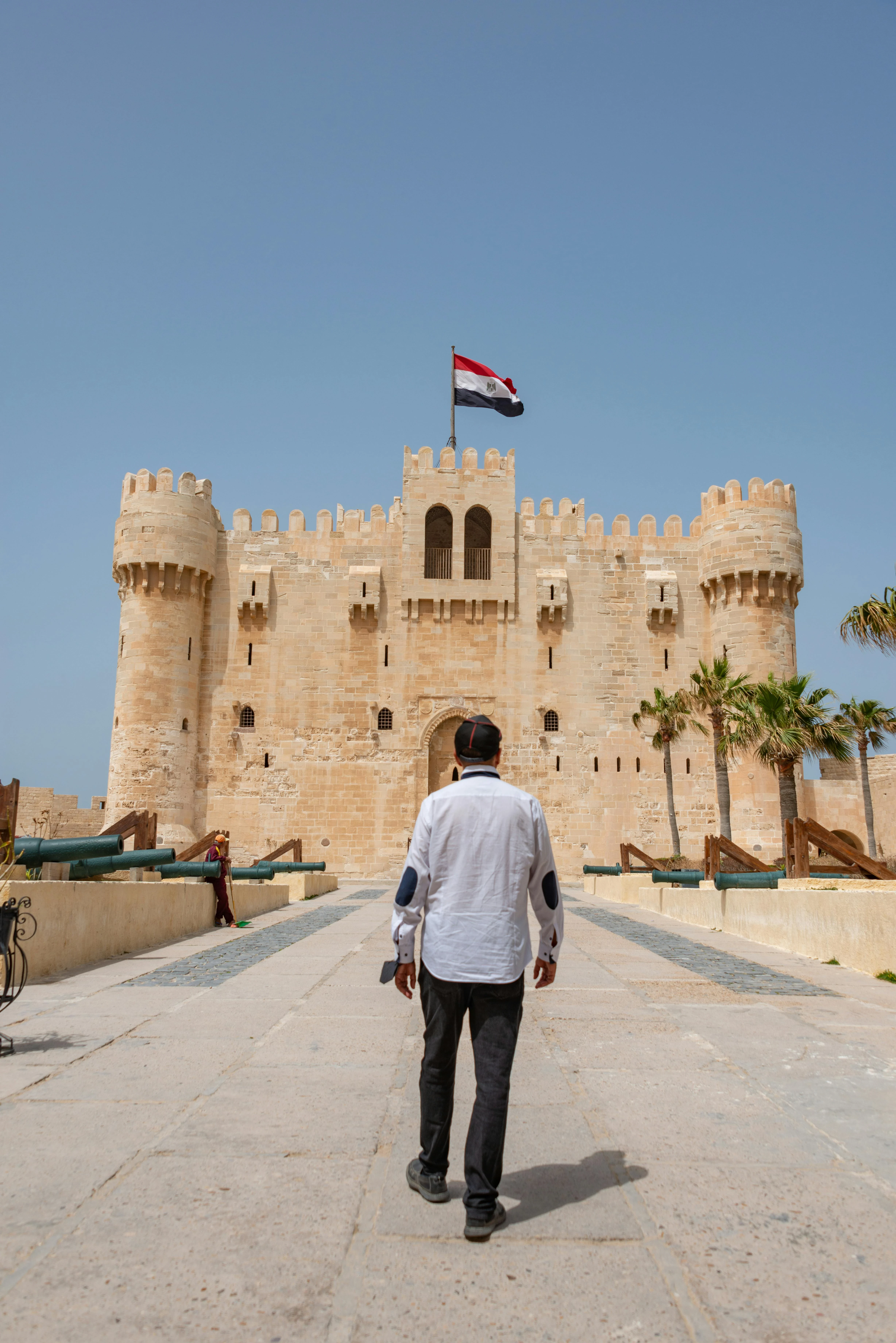 image about لا تقتلوا أسود بلادكم… مرسي كان يتوقع واقعنا اليوم