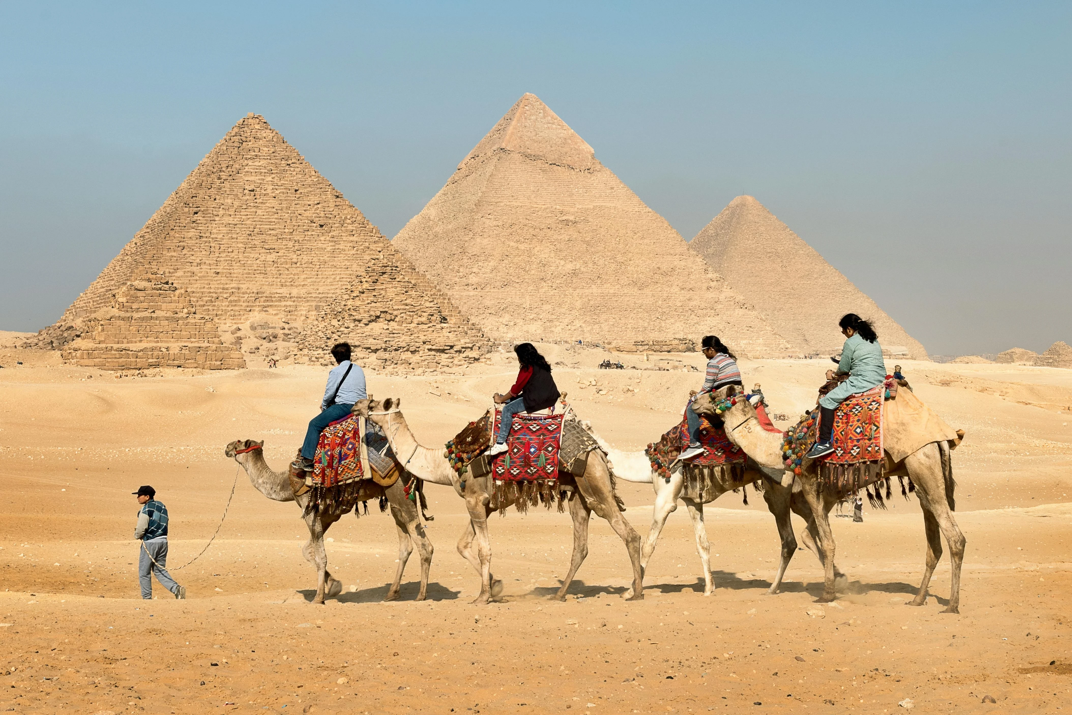 image about لا تقتلوا أسود بلادكم… مرسي كان يتوقع واقعنا اليوم