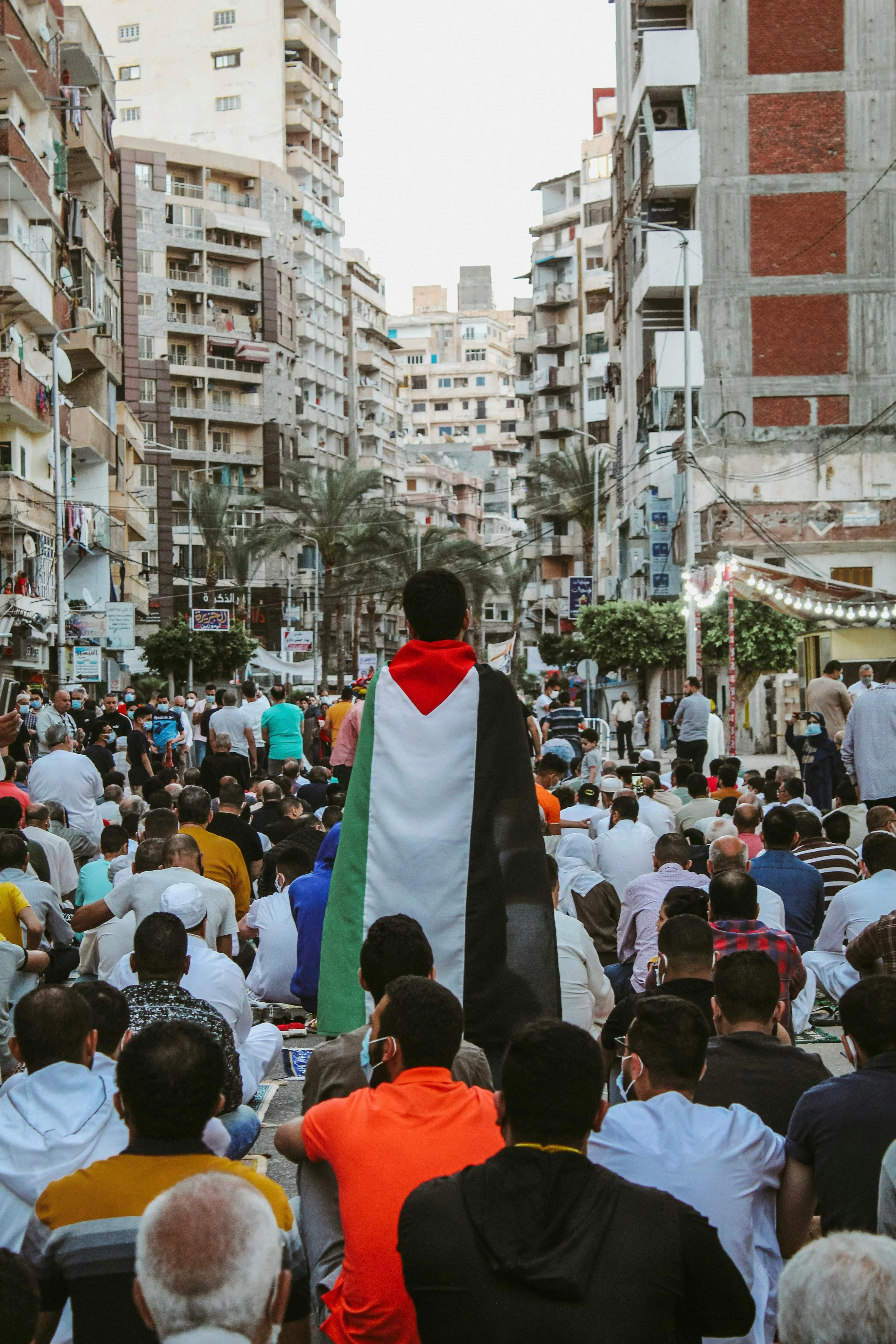 image about لا تقتلوا أسود بلادكم… مرسي كان يتوقع واقعنا اليوم