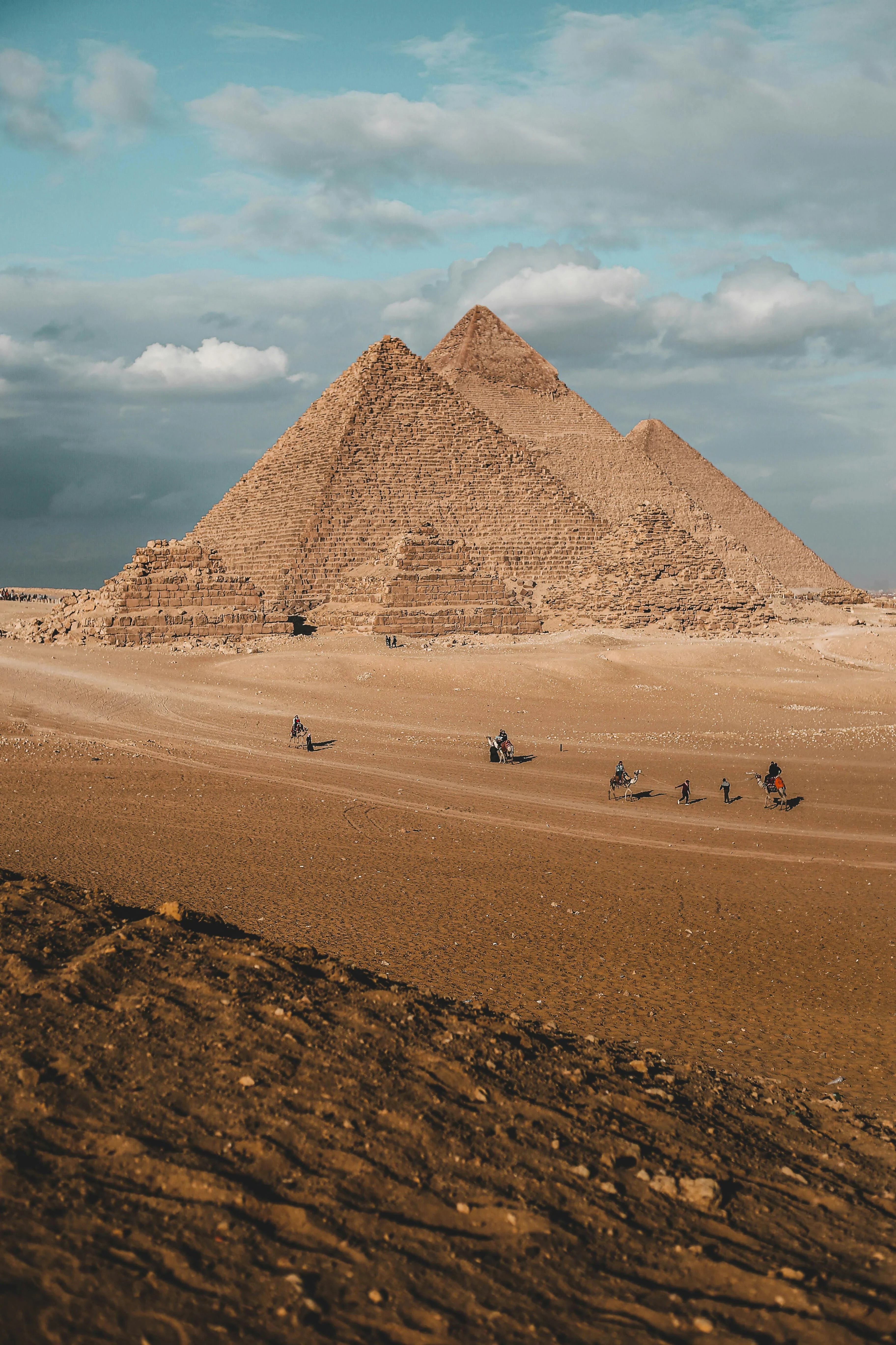 image about لا تقتلوا أسود بلادكم… مرسي كان يتوقع واقعنا اليوم
