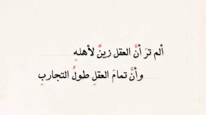 image about كيف يعمل المخ وما علاقه المخ بالصحه النفسيه من كتاب فهم الأمراض النفسيه منطقيا للمؤلف دين بيرنت 