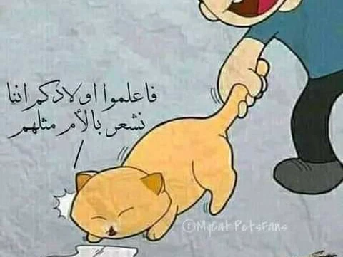 image about الرحمه لا تشتري و لا تباع