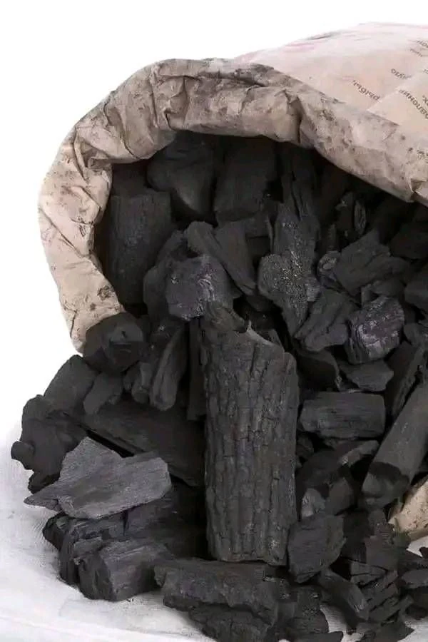image about مراحل تشكّل الفحم الطبيعي وعوامل تكوينه عبر العصور